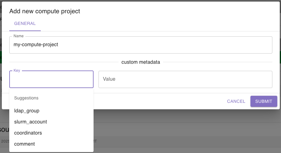 Add custom meta data